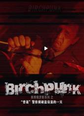 俄罗斯赛博警察