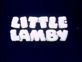 LittleLamby
