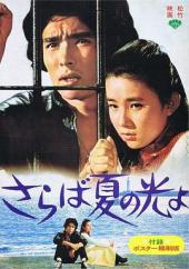 再见，夏日之光