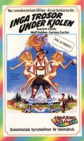 Hurra-DieSchwedinnensindda