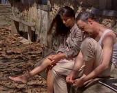 海豚男人手机免费在线观看