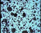 ...ereererabaleibuiziksubuaaruaren...