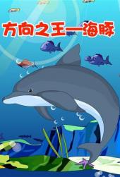 小笨熊之方向之王—海豚