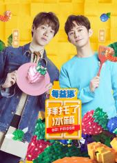 拜托了冰箱中国版第6季