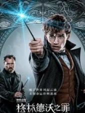 神奇动物格林德沃之罪普通话版