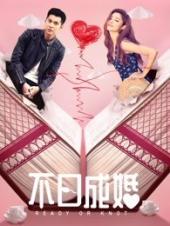 不日成婚粤语版
