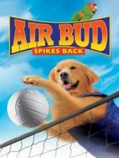 飞狗巴迪5排球健将