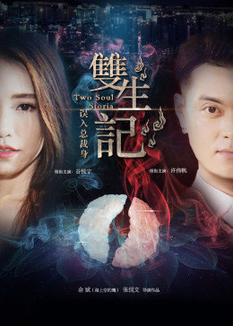 双生记之误入总裁身手机免费在线观看