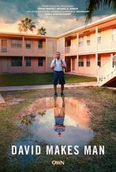 戴维成长记第二季