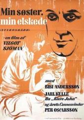 我的姐姐，我的爱