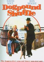 收容所里的狗叫