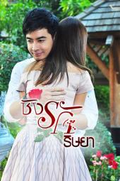 戴面具的女人TV版手机免费在线观看