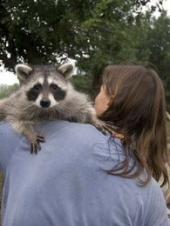 野生动物救援组