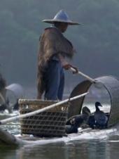 隐秘中国第一季