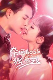 奈何boss独宠我