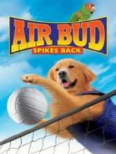 飞狗巴迪5排球健将国语版